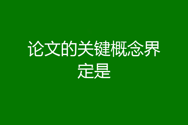 论文的关键概念界定是