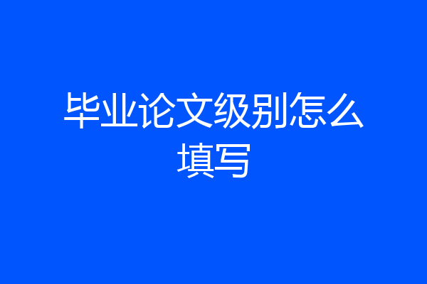毕业论文级别怎么填写