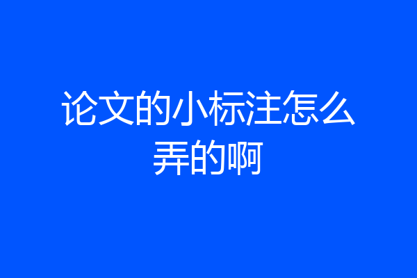 论文的小标注怎么弄的啊