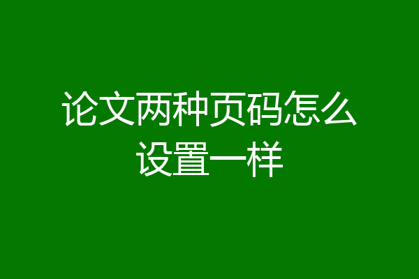 论文两种页码怎么设置一样