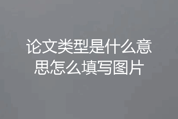 论文类型是什么意思怎么填写图片