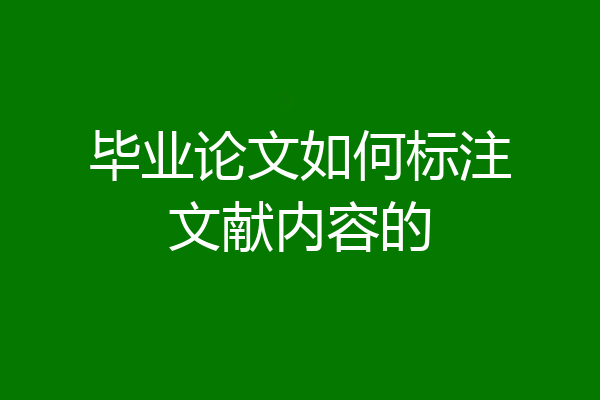 毕业论文如何标注文献内容的