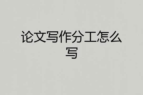论文写作分工怎么写