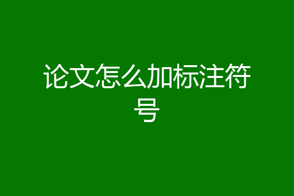 论文怎么加标注符号