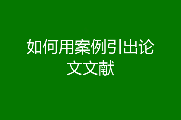 如何用案例引出论文文献