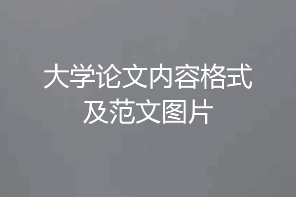 大学论文内容格式及范文图片