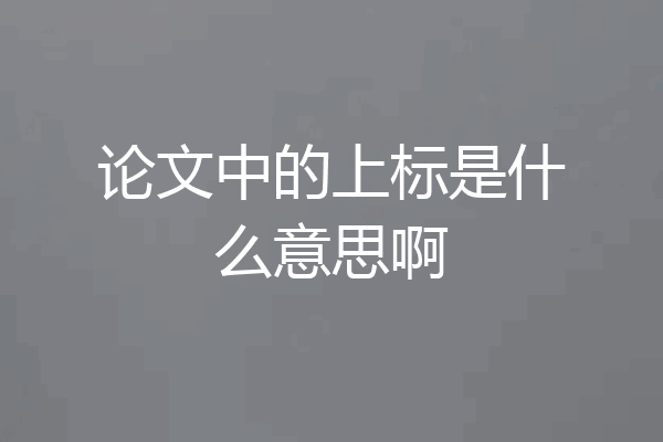 论文中的上标是什么意思啊
