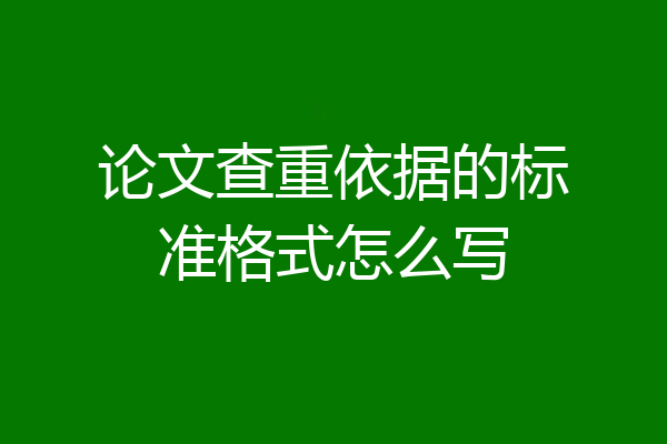论文查重依据的标准格式怎么写