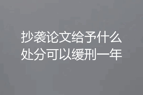抄袭论文给予什么处分可以缓刑一年