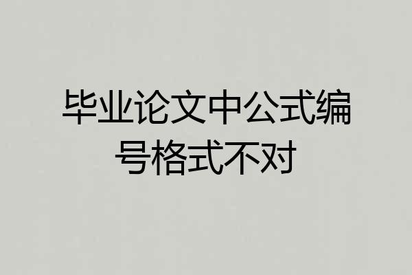 毕业论文中公式编号格式不对