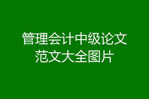 管理会计中级论文范文大全图片