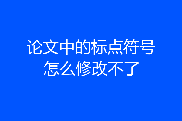 论文中的标点符号怎么修改不了