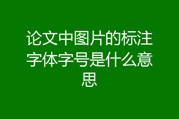 论文中图片的标注字体字号是什么意思