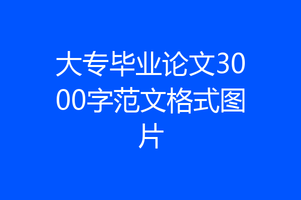 大专毕业论文3000字范文格式图片
