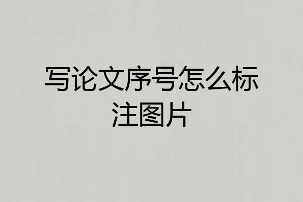 写论文序号怎么标注图片