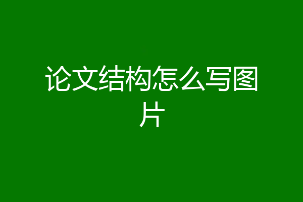论文结构怎么写图片