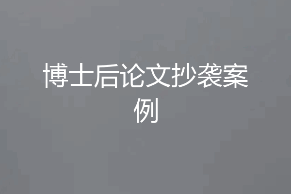博士后论文抄袭案例