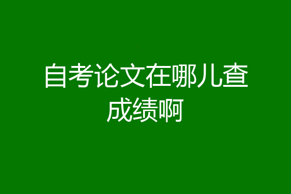 自考论文在哪儿查成绩啊