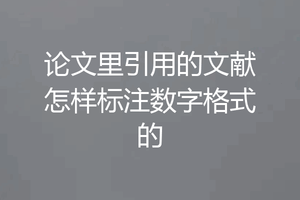 论文里引用的文献怎样标注数字格式的