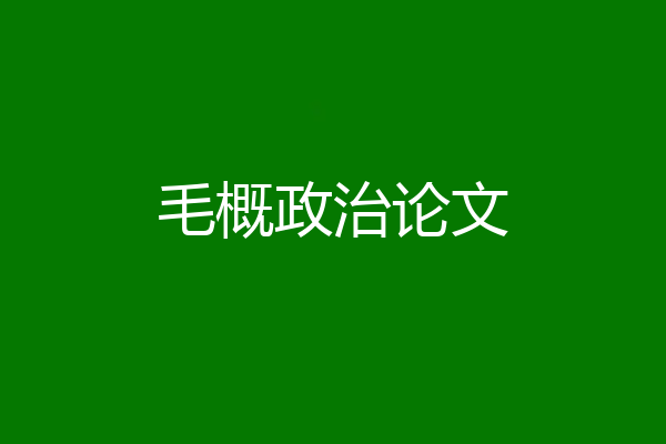 毛概政治论文
