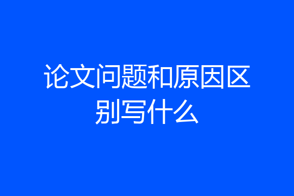 论文问题和原因区别写什么