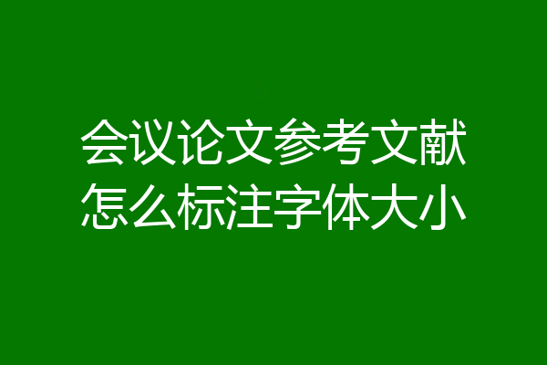 会议论文参考文献怎么标注字体大小