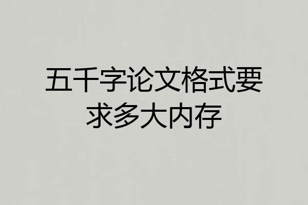 五千字论文格式要求多大内存