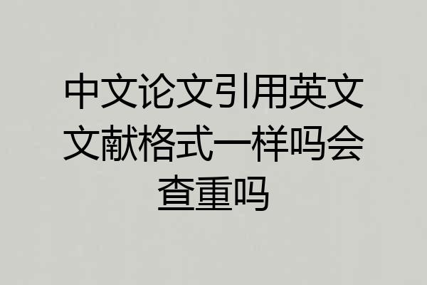 中文论文引用英文文献格式一样吗会查重吗