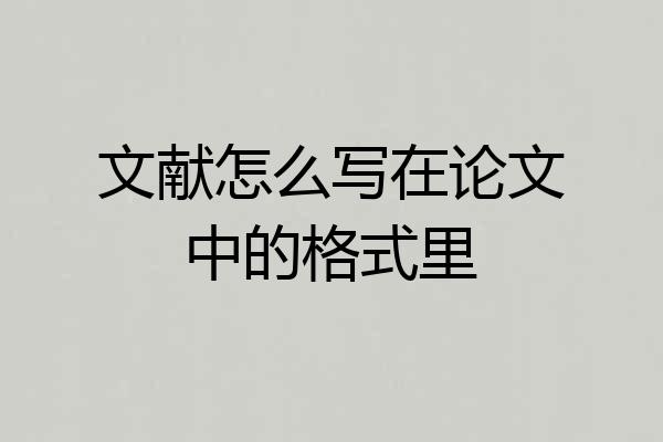 文献怎么写在论文中的格式里