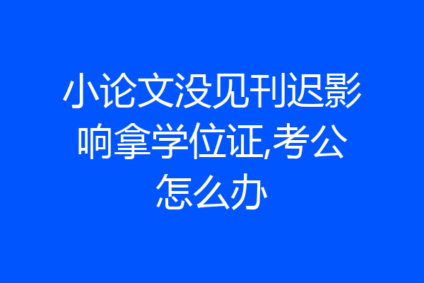 小论文没见刊迟影响拿学位证,考公怎么办