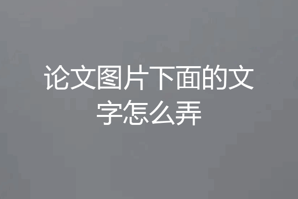 论文图片下面的文字怎么弄