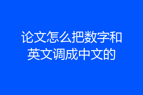 论文怎么把数字和英文调成中文的