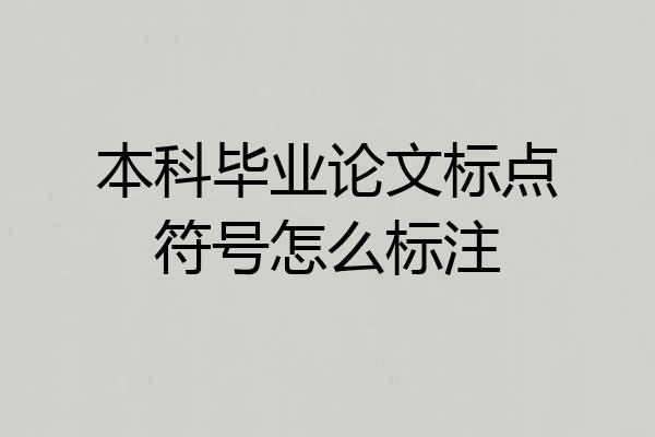 本科毕业论文标点符号怎么标注