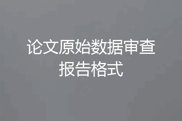 论文原始数据审查报告格式
