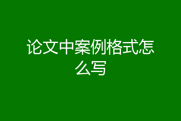 论文中案例格式怎么写