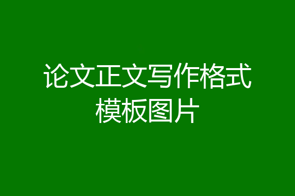 论文正文写作格式模板图片