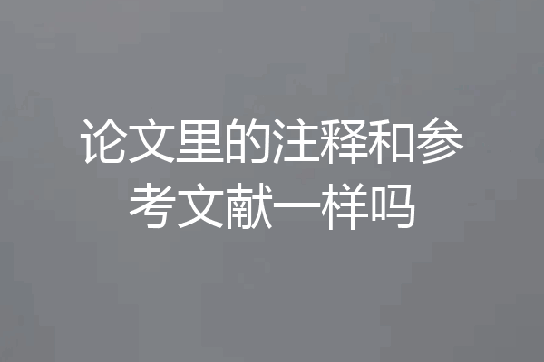 论文里的注释和参考文献一样吗