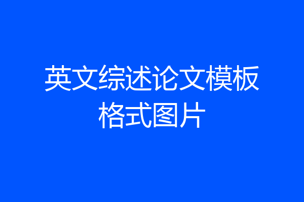 英文综述论文模板格式图片