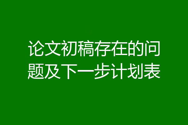 论文初稿存在的问题及下一步计划表