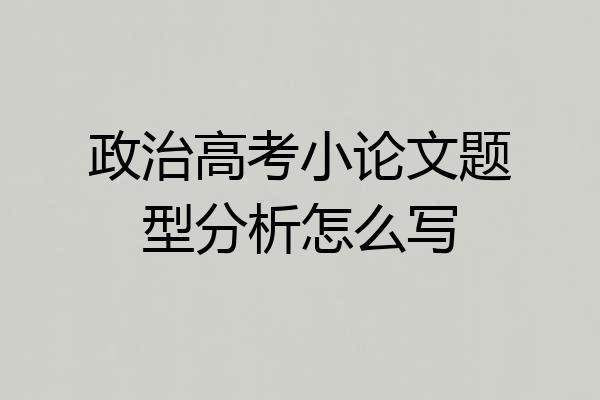 政治高考小论文题型分析怎么写