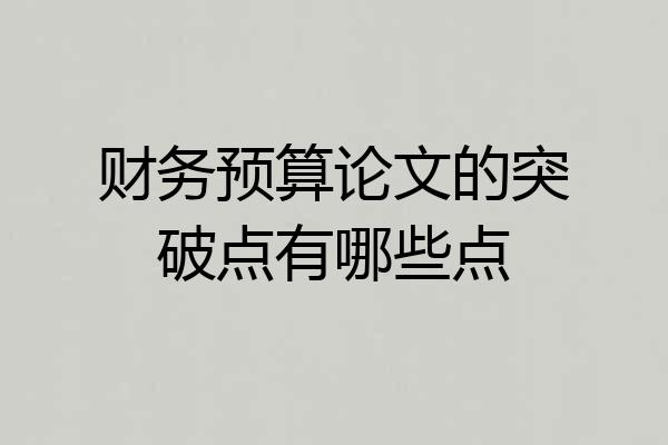 财务预算论文的突破点有哪些点