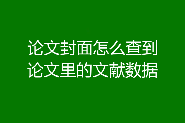 论文封面怎么查到论文里的文献数据