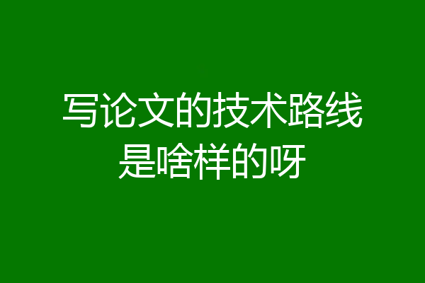 写论文的技术路线是啥样的呀