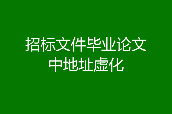 招标文件毕业论文中地址虚化