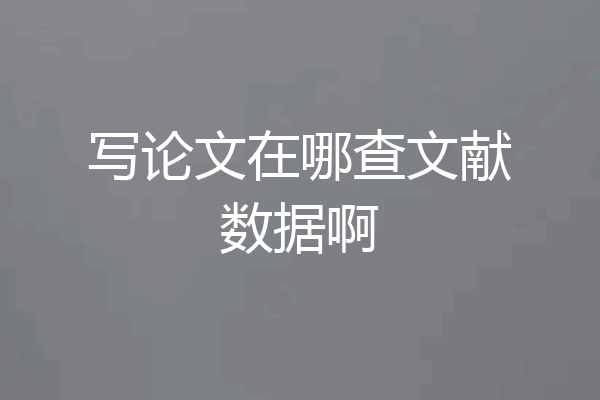 写论文在哪查文献数据啊