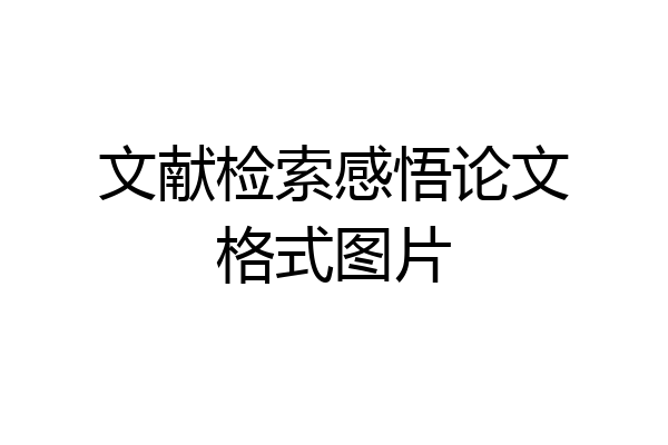 文献检索感悟论文格式图片