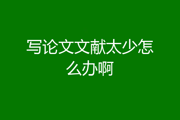 写论文文献太少怎么办啊