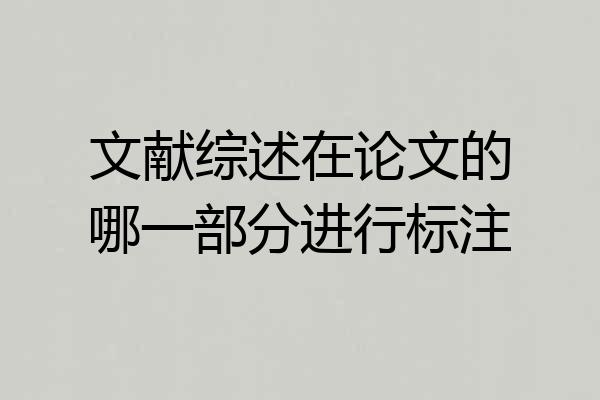 文献综述在论文的哪一部分进行标注