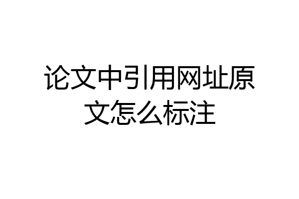 论文中引用网址原文怎么标注