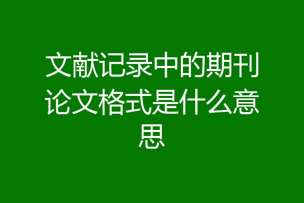 文献记录中的期刊论文格式是什么意思